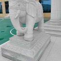 衡阳 白麻花岗岩动物异形石雕-大象