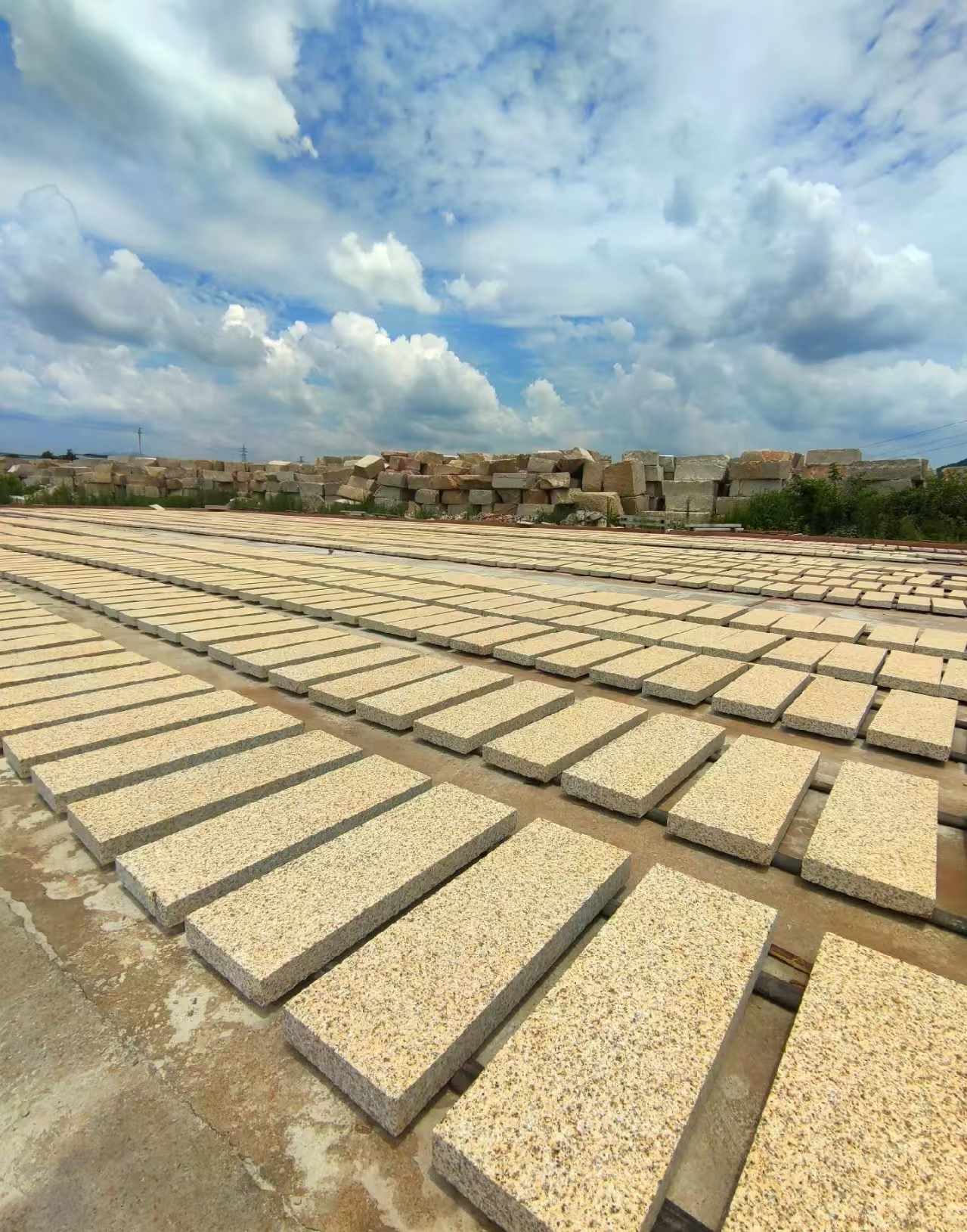 衡阳 黄金麻荔枝面花岗岩石材地铺石防护中