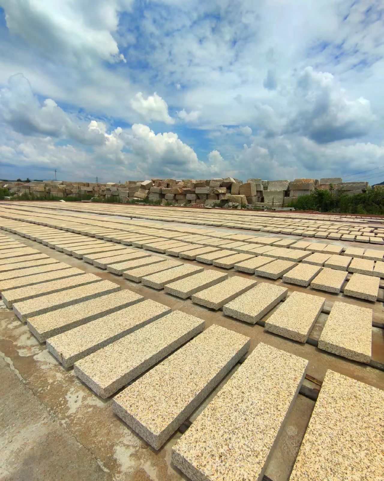 衡阳 黄金麻花岗岩荔枝面地铺石防护中