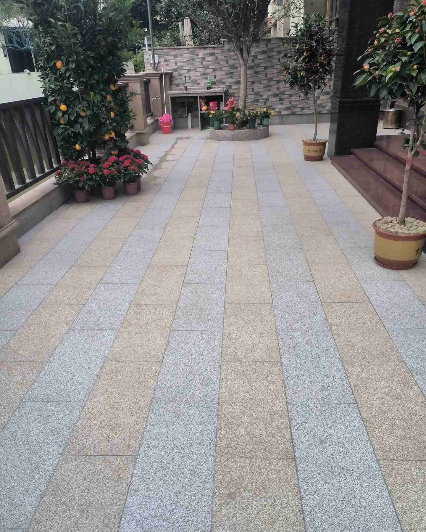 衡阳 黄金麻白麻荔枝面庭院铺装展示